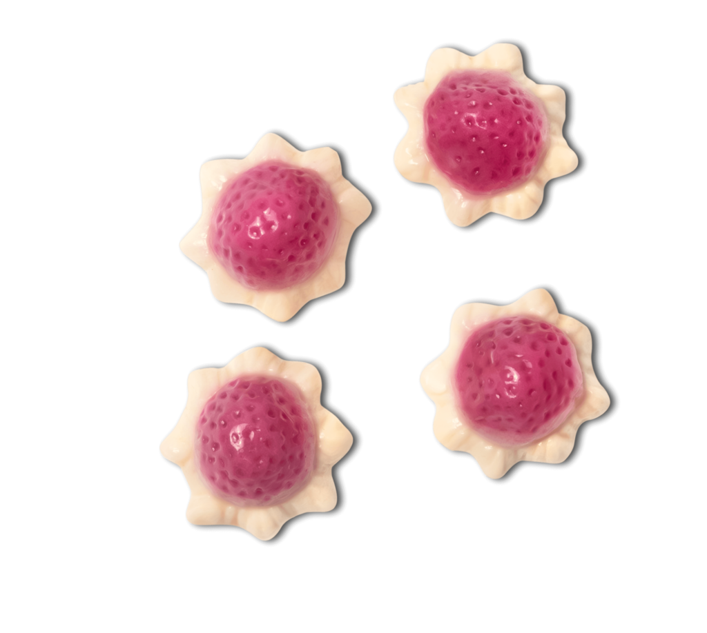 Vidal Golosinas