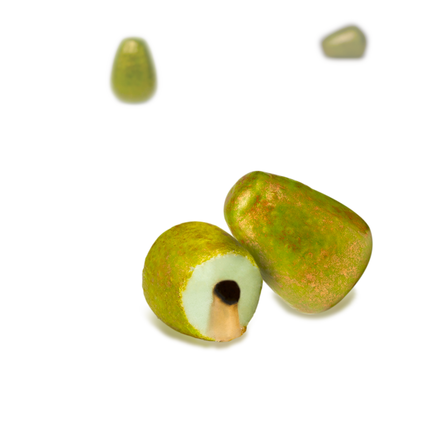 Alien Eggs